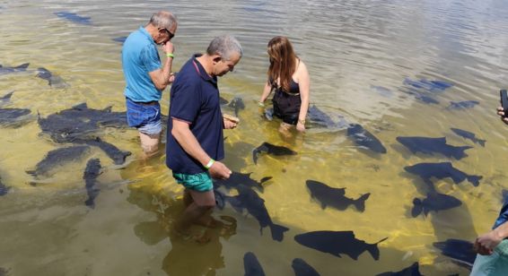 balneario em aracaju