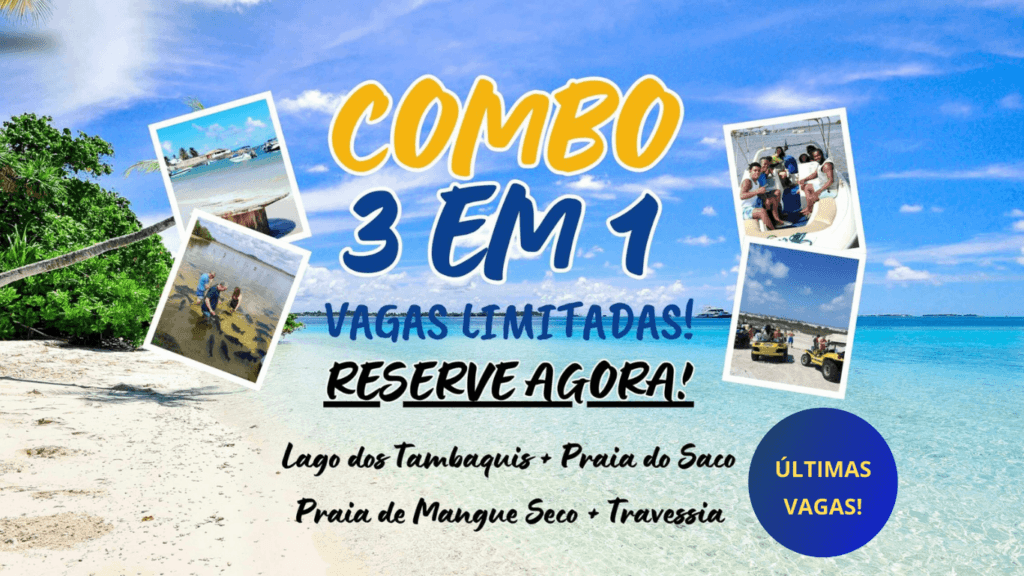 mangue-seco-praia-do-saco-lagoa-dos-tambaquis-se